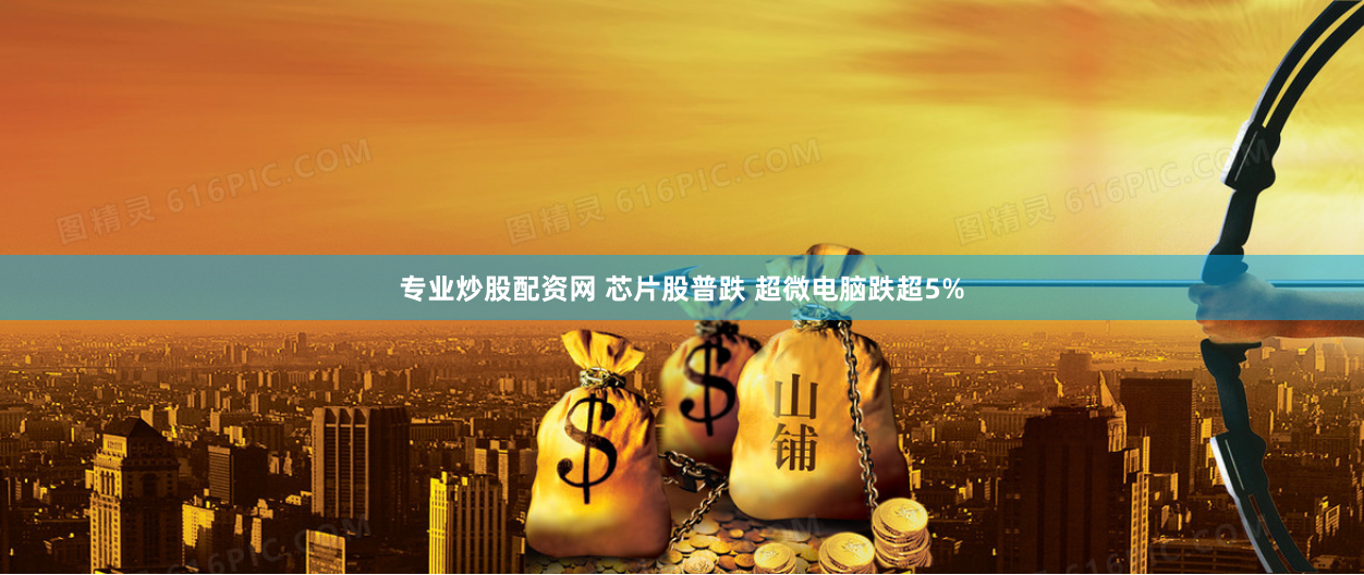 专业炒股配资网 芯片股普跌 超微电脑跌超5%